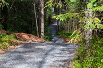 Valmista tuloreittiä