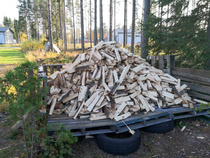 Arviolta 4 heittokuutiota. Klapit jätetään kuivumaan ja toimitetaan ensi kesänä Pleunaan, kun ovat kuivia.