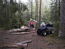 Rankakuorma hupenee uhkaavasti, puuvaja pursuaa kohta liitoksistaan!