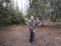 Veli Eero valvoo töiden etenemistä