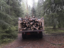 Veli Tarmon tuoma rankakuorma