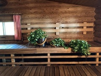 Klubin melkein patentoima kaksipäinen vihta odottaa presidenttejä aloittamaan saunomisen