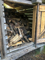 Nämä puut riittävät ehkä ensi kesään saakka.